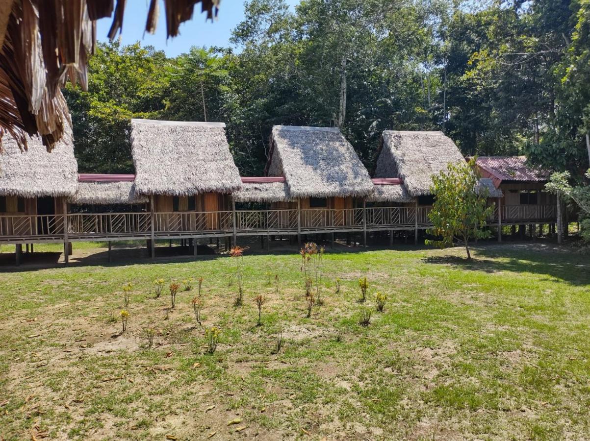 Intillama Jungle Lodge Eirl Paucarpata  Exterior photo
