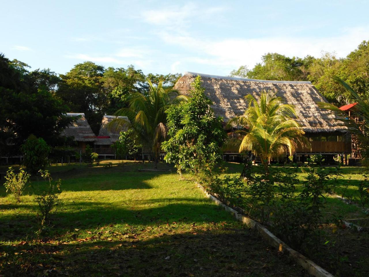Intillama Jungle Lodge Eirl Paucarpata  Exterior photo