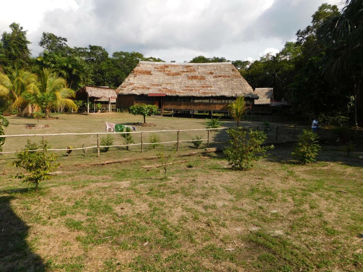 Intillama Jungle Lodge Eirl Paucarpata  Exterior photo